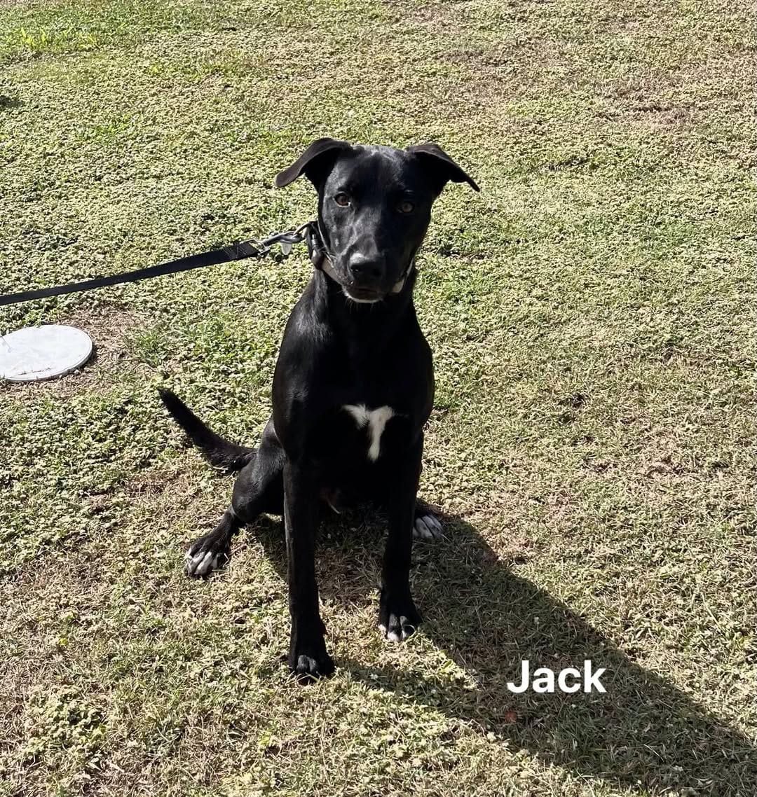 Jack Jack